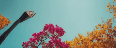 Bas de contention et remboursement mutuelle : tout comprendre pour une prise en charge optimale